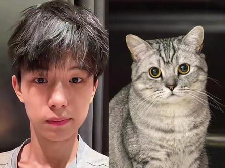 好有爱好喜欢,与猫咪相拥合照ai指令 教程来啦!#豆包p图指令宠物合照指令 ai生成自己和宠物的合照#和宠物合 合照教程来啦!和自家萌宠合照!#豆包P图指令#和宠物合照#豆包ai