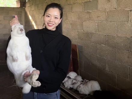 有单身的男孩子吗?一起过来广西拔兔毛啊,以后养兔子你负责收钱的那种。跟着我是吃苦还是开心谁来谁知道!#兔子 #广西 #记录摆摊生活 #抖音热门 #生活不会辜负每一个努力的人