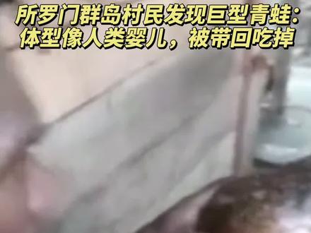 所罗门群岛村民发现巨型青蛙:体型像人类婴儿,被带回吃掉!