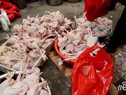 安徽大哥卖淘汰蛋母鸡,35元一斤,一只鸡配3两葱,日卖至少200只 #安徽 #母鸡 #小吃 #创新 #摆摊