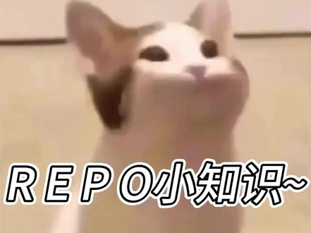 属性升级包 #REPO #repo