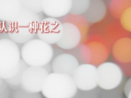 “凌霄花的花语是志存高远” #凌霄花 #花语 #每天认识一种花