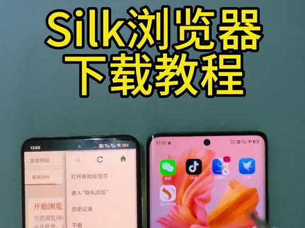 silk浏览器下载教程#silk#silk追星 #silk#silk浏览器