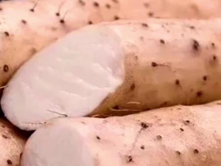 山药的6大功效#养生 #长寿 #生活 #风景