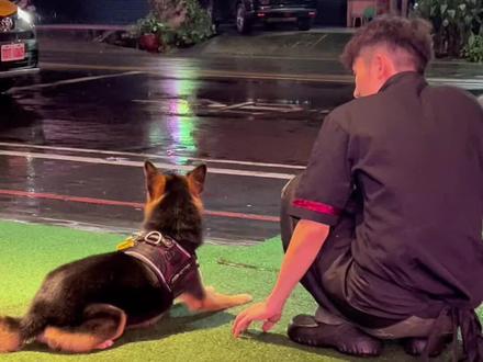 店里来了一位不速之客
#台湾 #湘記燒烤小龍蝦 #萌宠