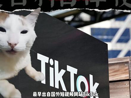 终于找到大司马猫本体的来源#搞笑 #哈基米 #表情包 #梗百科