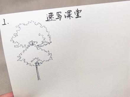 下班后学画画|今日画一个树的速写
#抖音学画画 #速写 #风景速写 #树 #钢笔画