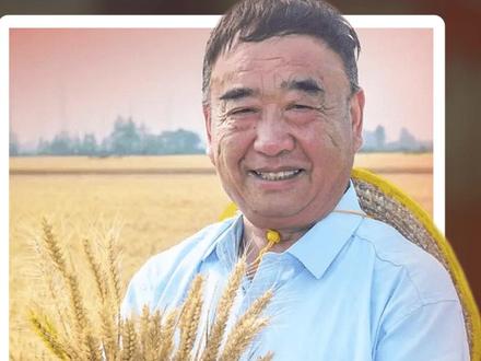 从“靠天吃饭”到“高产田”的跨越,中央宣传部授予安徽省太和县现代农业科技试验示范基地党支部书记徐淙祥同志“时代楷模”称号!#徐淙洋 #中宣部授予徐淙祥时代楷模称号 #徐淙祥被授予时代楷模称号