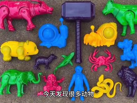 认识水牛、大象 #清洗玩具