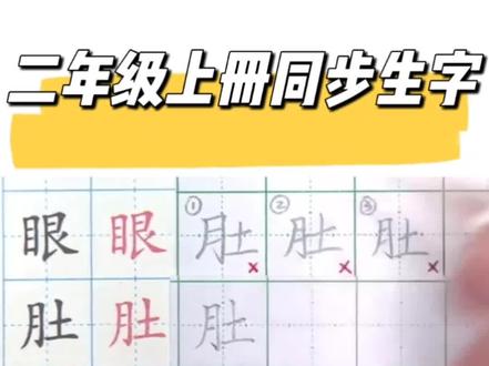 二年级上册同步生字“肚”详细讲解#二年级 #二年级语文 #二年级上册语文 #二年级语文上册生字