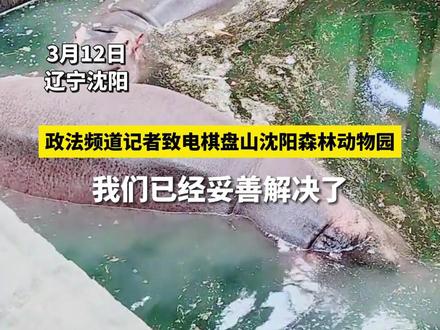 动物园回应河马生存环境恶臭扑鼻:水是定期更换,河马生活习性所致