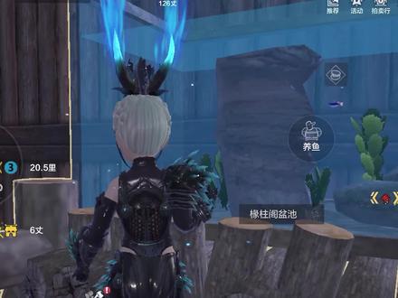 妄想山海:侍从终于完结了!在养人鱼的过程中,真的不该用激素吗 #妄想山海