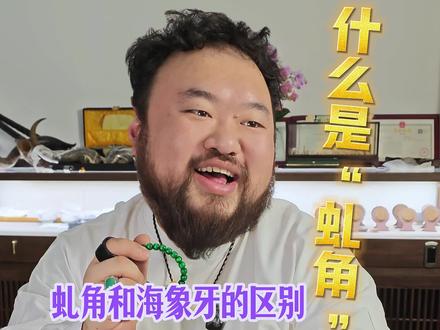 什么是“虬角”海象牙和虬角的区别在哪 #文玩爱好者 #牙骨角 #虬角 #虬角染色工艺 #海象牙
