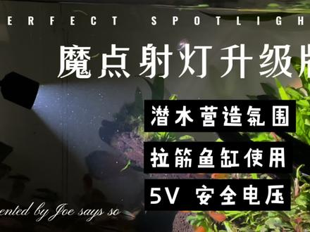 魔点射灯升级版:可潜水
#水族 #水族器材 #养鱼日记 #魔点射灯#水族用品