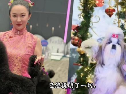 霍思燕,带“霍蜜蜡”击败日本夺冠!11个月大的贵宾犬“霍蜜蜡”,在泰国“公主杯”国际犬展中#犬展 #强烈推荐 #宠物 #狗狗 #社会百态 @DOU+小助手