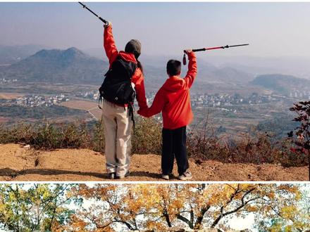 衢州市区出发20分钟直达的超轻松路线——柯城石梁营盘山、大岭背古道。全程平坦好走,20分钟就能登顶,山中还有千年古道和斑驳的古城墙。导航:大岭背遂道。出隧道后连续左转两次,一百米后的右侧叉口跟前就是本次徒步的起点——大岭背古道。两步路轨迹编号:25024507
只需走上三五分钟,就到了唐朝时期⻩巢军以⼭⽯垒成的古城门 ,现存6米高的古城墙历经千百年的⻛⾬洗礼,依旧默默地守望着⼭间。城门内还有一座依山而建的古庙,四周都是茂密的森林,最引人注目的是墙根那株古樟树 ,虽⻅沧桑 ,但依然挺拔。沿着寺庙右侧大路一直上坡,徒步十几分钟,直到穿过这道石壁,往左侧土路上坡,也就成功登顶了。山顶有一大片平坦空地,视线非常开阔,特别适合露营躺平,游玩结束原路返回下山就可以啦。#户外徒步 #爬山徒步 #衢州亲子徒步 #衢州爬山 #山野自然