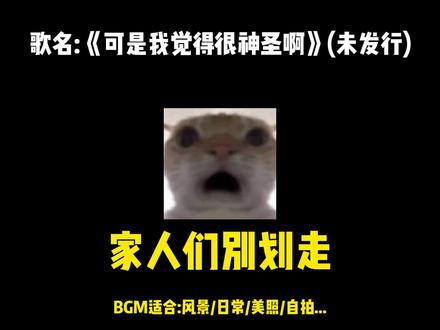 可是...我觉得很神圣啊#可是我觉得很神圣啊 #原创音乐人 #创作者扶持计划 #bgm