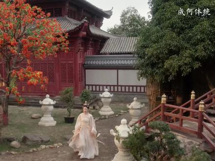 谢永儿到s都在助夏侯澹#成何体统 #好剧推荐