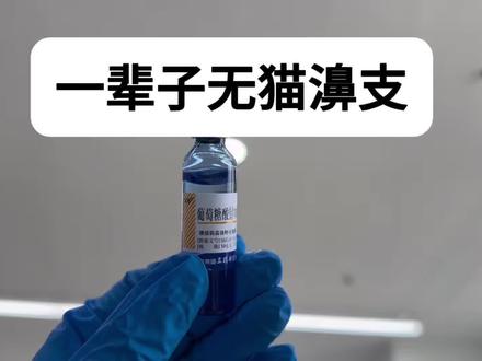 猫濞支慢慢断根#猫鼻支#猫咪#猫咪打喷嚏#新手养猫#养猫经验分享