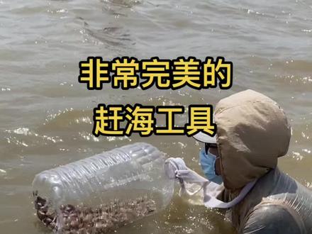 省钱省力,超完美的赶海工具!#赶海 #热门@抖音小助手
