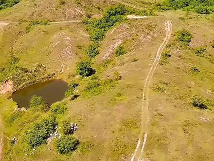 合肥野生动物园搬迁选址确定肥东泉山,离合芜高速王铁出口较近,距合肥市区约35公里 #合肥野生动物园 #野生动物园 #搬迁 #选址 #合肥动物园