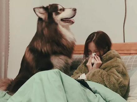 万物有灵,那些狗狗们的暖心时刻#暖心瞬间 #被萌宠治愈的那些时刻 #狗狗暖心瞬间