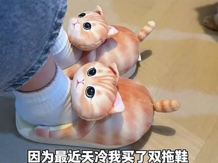 #猫咪#可爱猫咪#小猫可以治愈一切 @抖音创作小助手