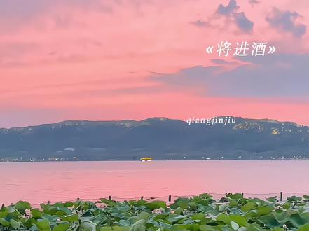 萧驰野!出来成亲!
#策舟 #将进酒