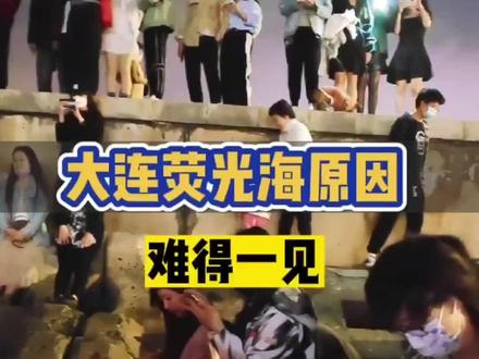 #旅行推荐官 大连荧光海的原因!难得一见!#荧光海 #大连荧光海 #旅行大玩家 #旅行推荐官 #大连 #海边夜景