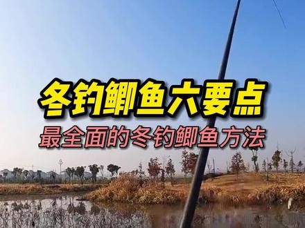 最全面的冬钓鲫鱼方法,掌握这六个要点,你距离爆护只差一个收藏!#钓鱼技巧 #钓鱼知识 #冬钓鲫鱼 #湾哥爱钓鱼