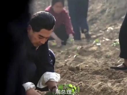 周总理帮助乡亲们种田、可没想到…#历史 #伟人 #缅怀