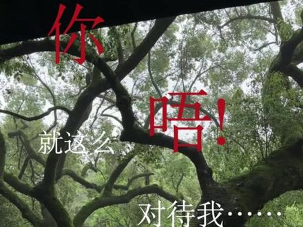 “给老子飞。”#轻狂 #寇忱 #霍然 #巫哲 #双男主