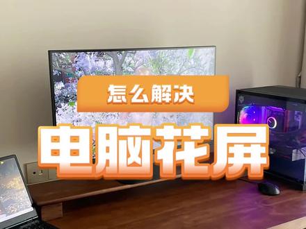 电脑花屏,不要慌 #电脑花屏 #电脑维修 #电脑 #知识前沿派对 #啄木鸟家庭维修