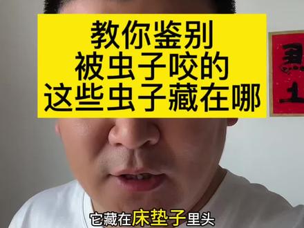 来看看你被那些虫子咬的 虫子咬人但是你找不到他,看完你就懂了