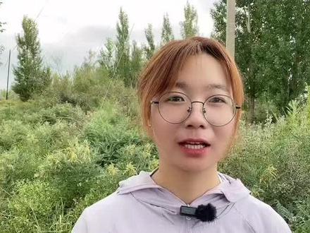 打瓜倒秧子是什么病?怎么治?#农业种植 #三农 #新农人计划 #三农计划2022