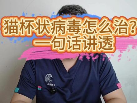 猫杯状病毒怎么治?一句话讲透 #猫咪嗓子哑 #猫鼻支 #猫杯状病毒 #猫打喷嚏 #宠物医生问诊