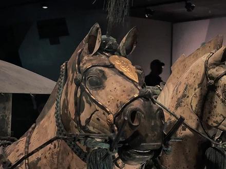 世界上最早的车标#当卢 #铜车马 #兵马俑 #西安