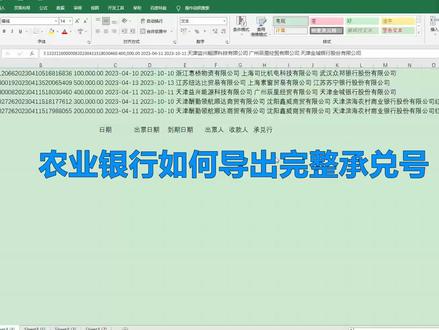 农业银行网银导出电子承兑背书转让数据时,如何正确将数据分列才能让承兑号码完整显示#农来银行 #电子承兑