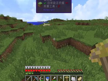 这个就是暮色森林里面最实用的树苗!#我的世界