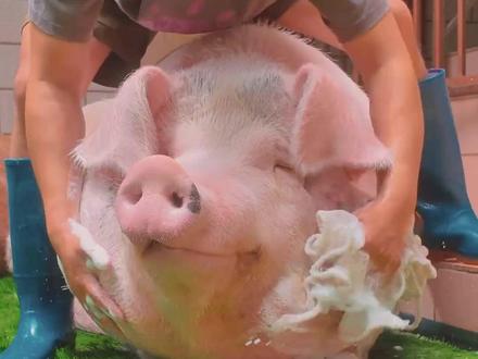 开局一个碗 结局一个杯 永州你们是真正的逆袭爽文主角#足球#湘超#花车巡游#永州 #夺冠