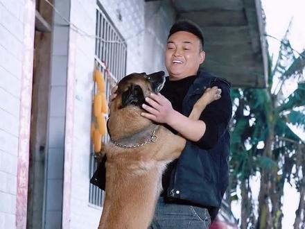 幸福不是路边有多少美景,而是赏完美景回到温馨的家。#记录农村生活 #乡村守护人 #狗狗的爱永远单纯 #巴图狗狗