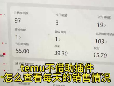 temu不借助插件
怎么查看每天的销售情况