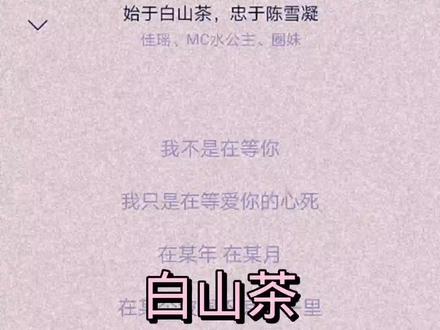 “白山茶的花语:你怎能轻视我的爱情”#白山茶