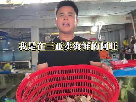 四只皮皮虾到底是不是宰客,在三亚从业几十年的海鲜老板告诉你!#三亚海鲜 #三亚海鲜批发