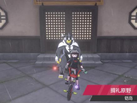 口袋妖怪剑,神兽超极巨化,武道熊师一击流一招就可翻江倒海