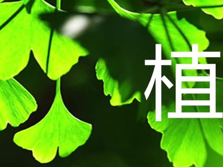 #学浪计划 #思维导图 #每天学习一点点 #小学科学 小学 科学 思维导图 知识点整理 《植物》专题