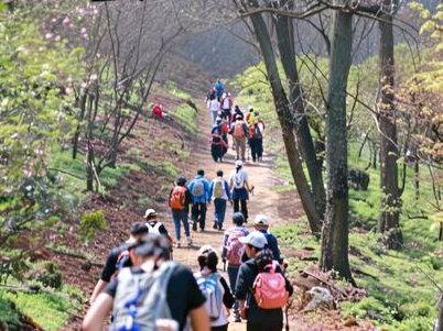 一束光老山东线14公里攻略一镜到底 #南京 #一束光山顶会公益亲子登山队 #老山 #每周一山 #亲子登山