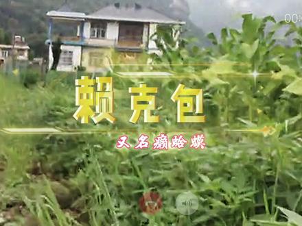 #湖北恩施 #方言搞笑 #赖克宝
赖克包,志向远大…,是女孩们找对象的标准之一#土特产