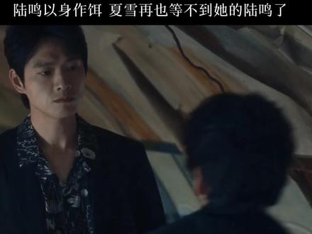 结局好悲夏雪再也等不到 她的陆鸣了