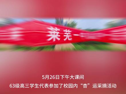 莱芜一中63级高三“杏”运采摘#莱芜一中